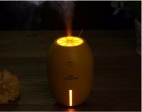 Lemon Humidifier