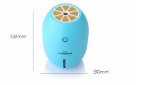 Lemon Humidifier