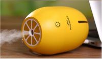 Lemon Humidifier