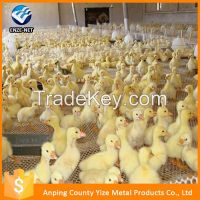 Plastic Mesh Plastic Mesh