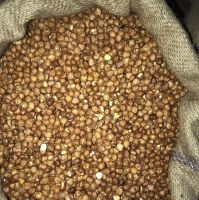 Raw Hazelnut Kernels From USA