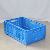 Standard Sizes Fodable Plastic Tote Boxes with Lids Collapsable Design