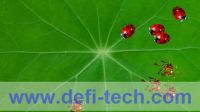 interactive projection floor/wall