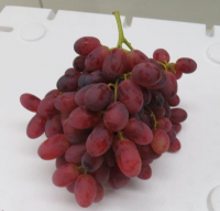 Premium Australian Crimson Seedless Grapes