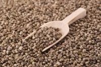 Hemp seeds