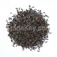 NIGER SEED