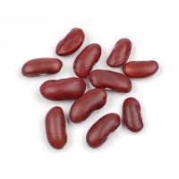 Red Kidney Beans From South Africa