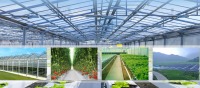  high quality garden agricultural greenhouse/film greenhouse