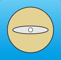 40ÃŽÂ¼m Thin Ellipse Type PMF