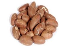 kola nut