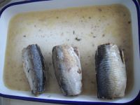 Canned Mackerel in brine