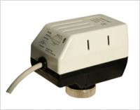 Electric Actuators
