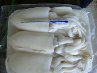 Frozen Fish