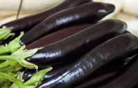 Purple eggplant