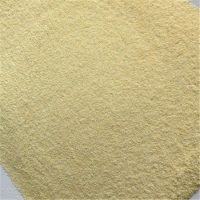2019 dehydrated garlic powder From China