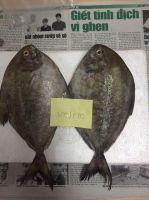 BLACK PROMFRET