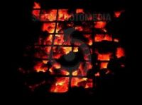 Barbeque Charcoal From South Africa