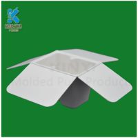 Custom biodegradable paper pulp moulding packaging