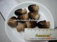 Straw Mushroom in brine From Vietnam