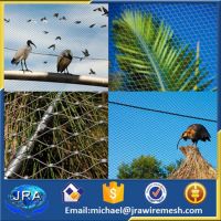 Real factory stainless steel bird aviary mesh