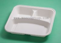 Eco-Friendly Disposable Biodegradable Sugarcane tray