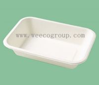 Biodegradable Sugarcane Bagasse Tray