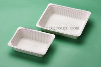 Eco-Friendly Disposable Sugarcane tray