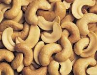 Cashew Nut