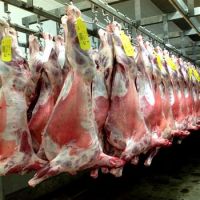 HALAL FRESH FROZEN GOAT LAMB SHEEP MEAT CARCASS