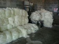 Sisal Fibers