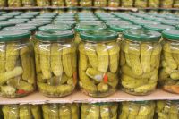 Canned Cucumber (gherkins)