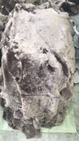 Sheepskin fur lining lamb skin shoe fur lining  From China