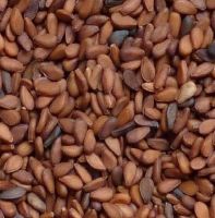 Bangladeshi Black and Brown fresh natural sesame seeds