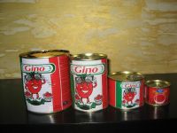 Supply different size canned peeled tomato 400g