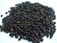Black Pepper (Piper Guineense)