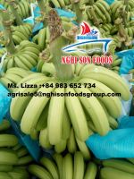 FRESH CAVENDISH BANANA 200 MT/WEEK LOW PRICE