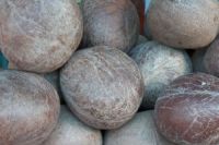 Dry Copra From India