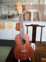 Entry Level High Quality Ukulele At