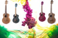 Small Hawaiian Guitar - Entry Level Colorful