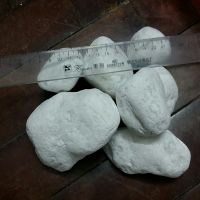 Snow White Pebble Stone
