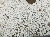 Super White Pebble Stone