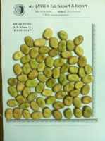 Broad Beans