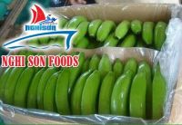 Fresh Cavendish Banana Supplier in Viet Nam