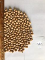 kabuli chickpeas