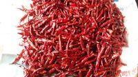 Trade Chance To Export and Import TEJA S17 Chili Without Stem From India