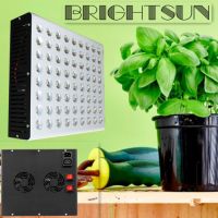 Brightsun Full Spectrum High Power 5W Chip 360W 720W Hydroponics LED Grow Light for Greenhouse Plants Cultivation