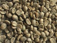 high quality robusta and arabica coffee beans