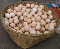 Fresh Table White And Brown Chicken Eggs