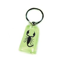 Insect Amber Jewelry---Key Chain