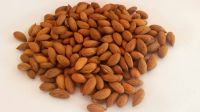 High Quality Almond Kernel - 2017 Harvest